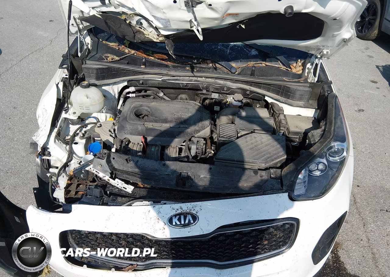 2019 Kia Sportage Lx VIN:KNDPM3AC5K7593071 - 10