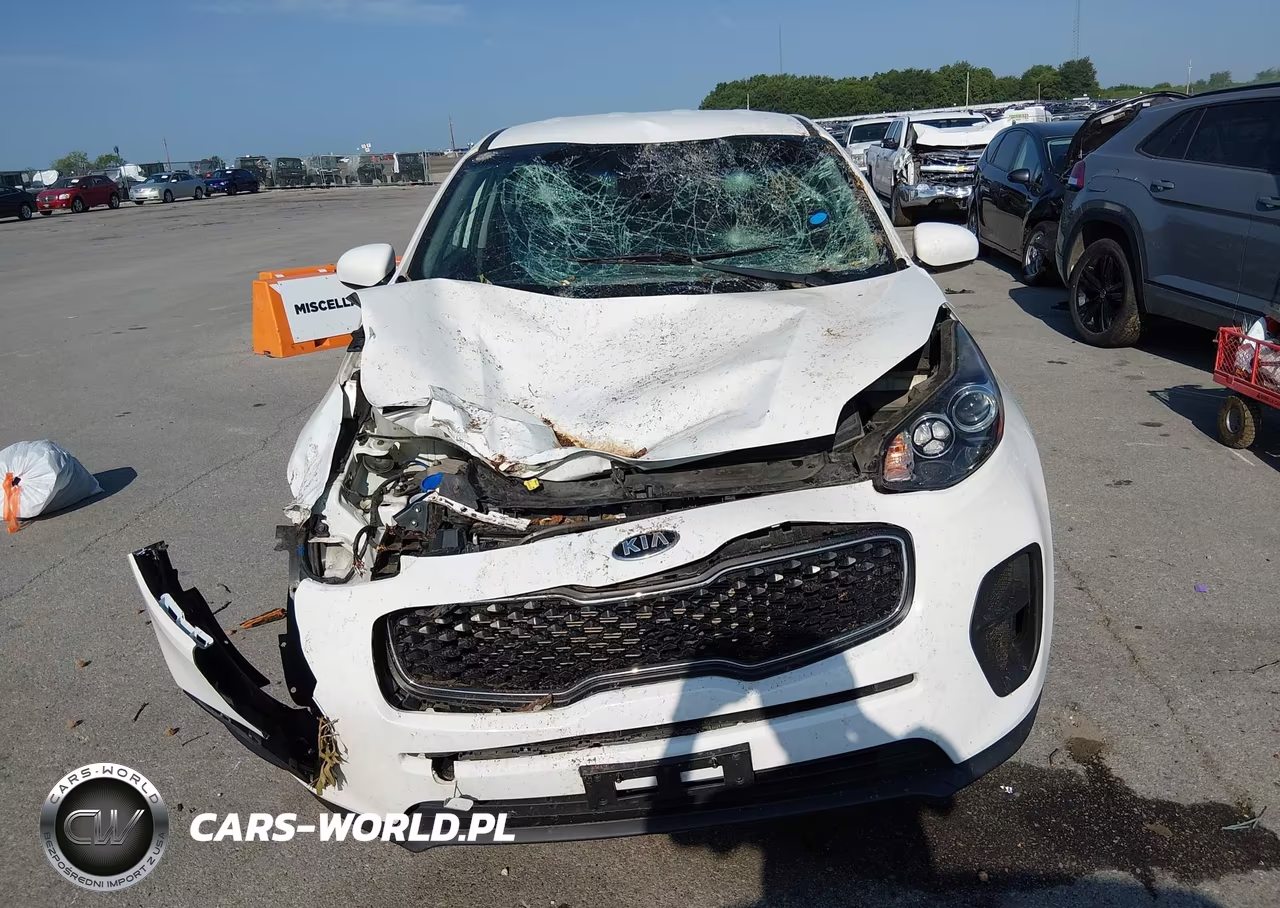 2019 Kia Sportage Lx VIN:KNDPM3AC5K7593071 - 13