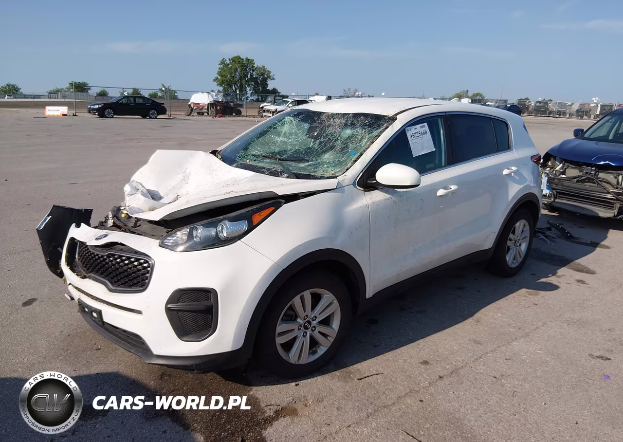 2019 Kia Sportage Lx VIN:KNDPM3AC5K7593071 - 2