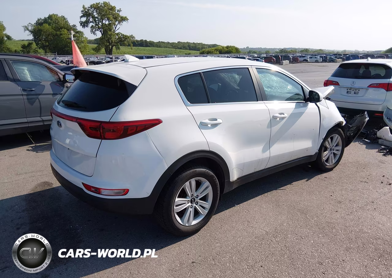 2019 Kia Sportage Lx VIN:KNDPM3AC5K7593071 - 4