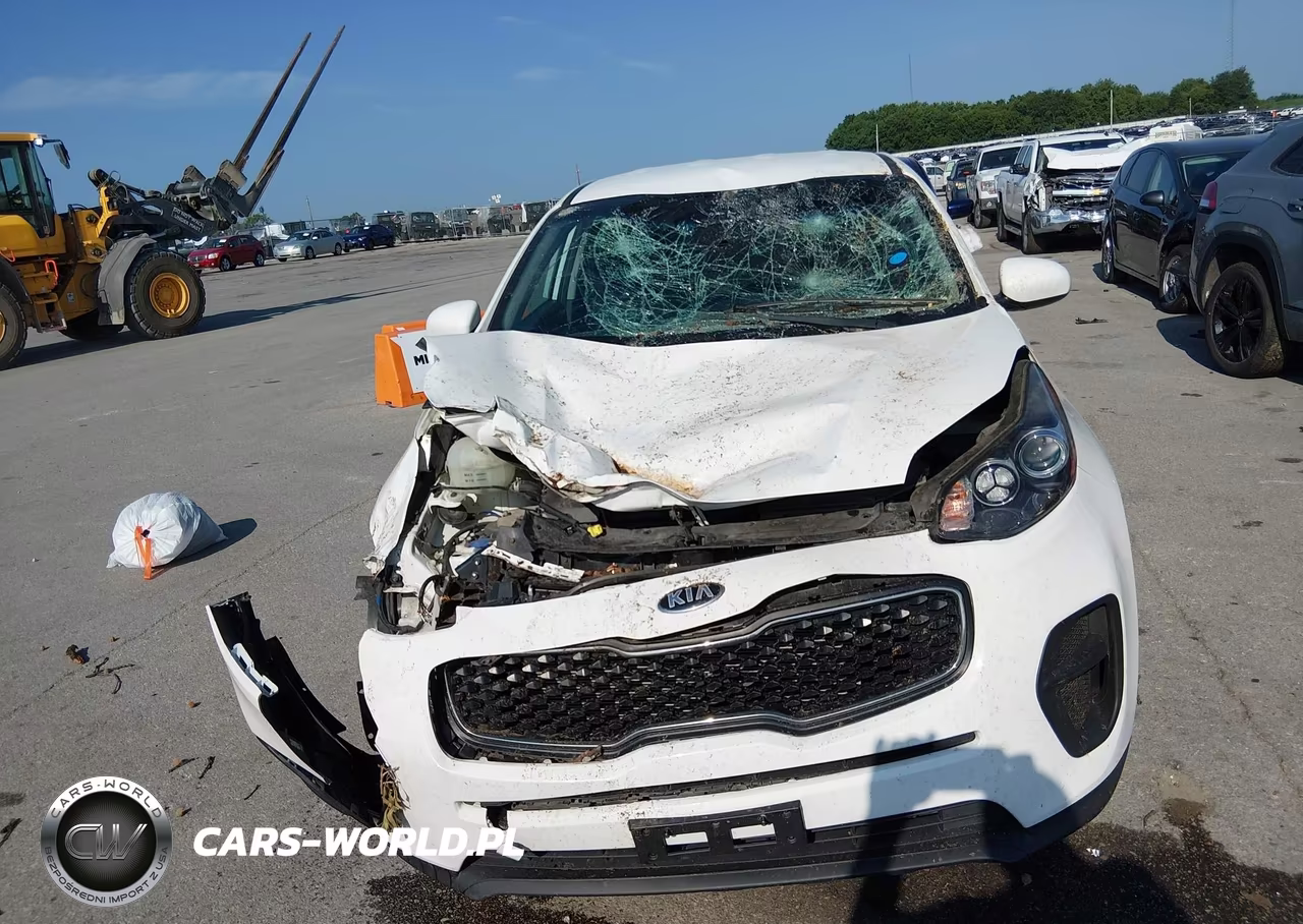 2019 Kia Sportage Lx VIN:KNDPM3AC5K7593071 - 6