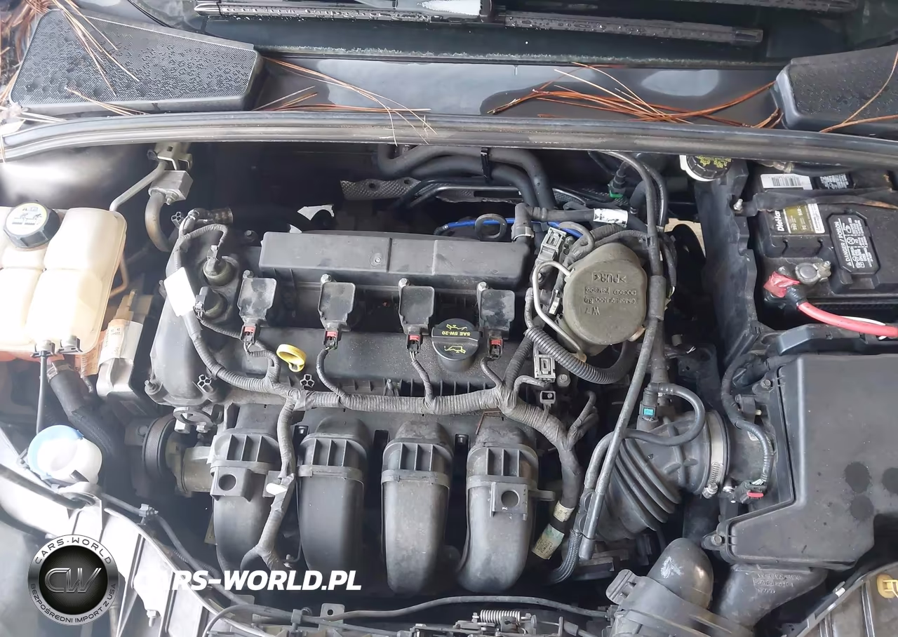 2013 Ford Focus Se VIN:1FADP3F22DL321443 - 10