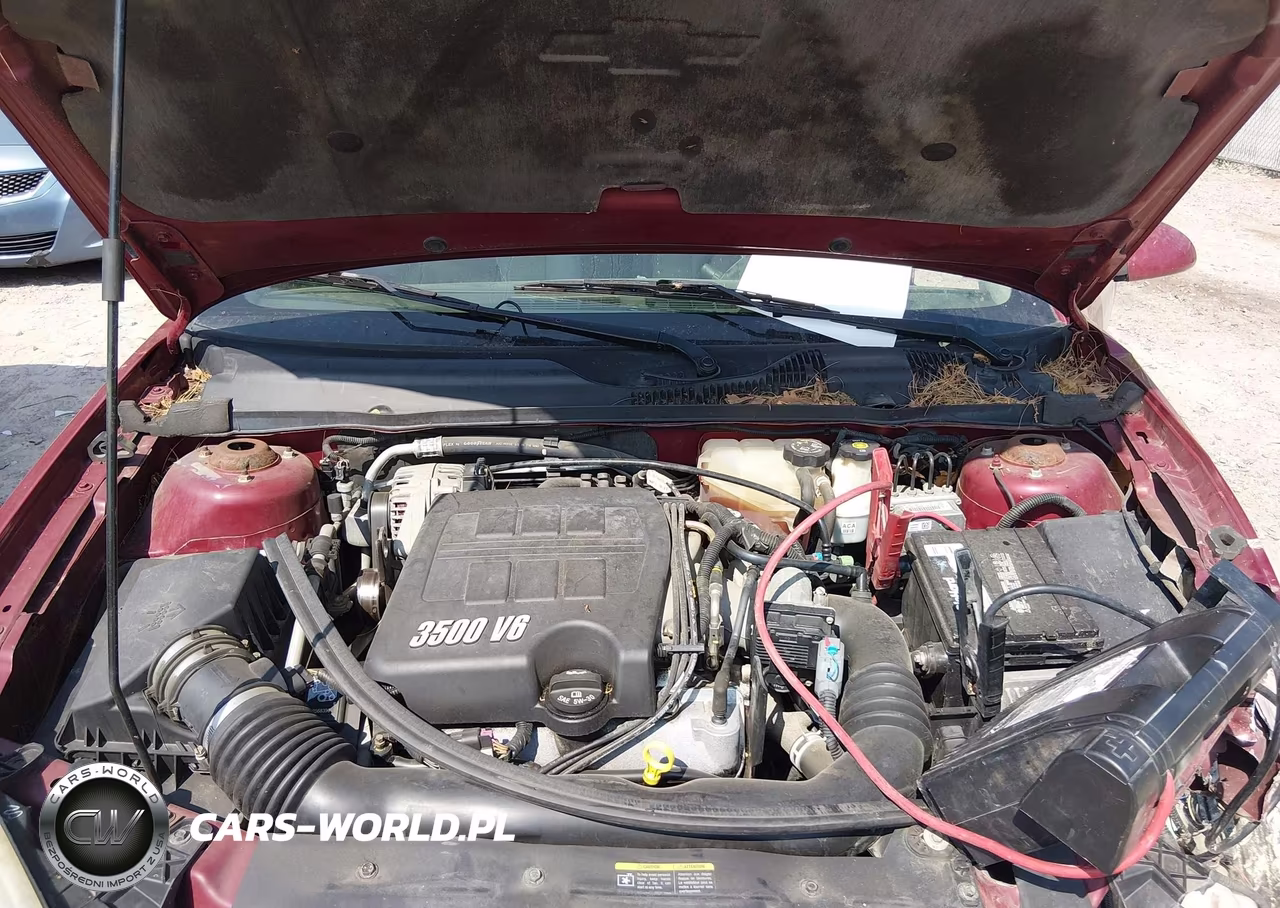 2006 Chevrolet Malibu Ltz VIN:1G1ZU53896F131677 - 10