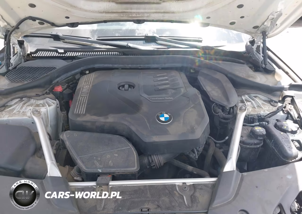 2020 BMW 530I VIN:WBAJR3C02LWW63737 - 10