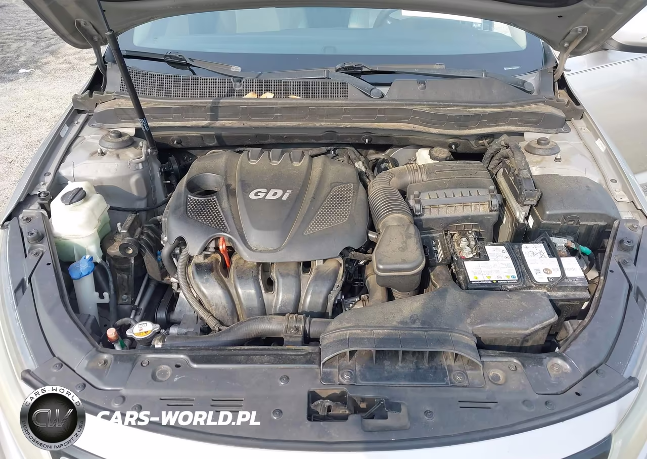 2014 Kia Optima Lx VIN:5XXGM4A73EG284963 - 10