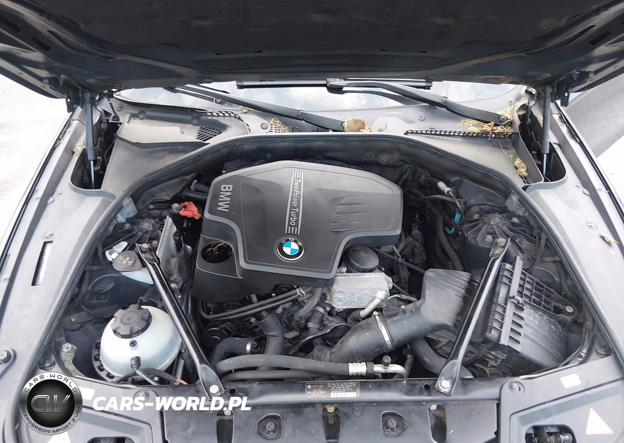 2012 BMW 528I xDrive VIN:WBAXH5C54CDW07556 - 10
