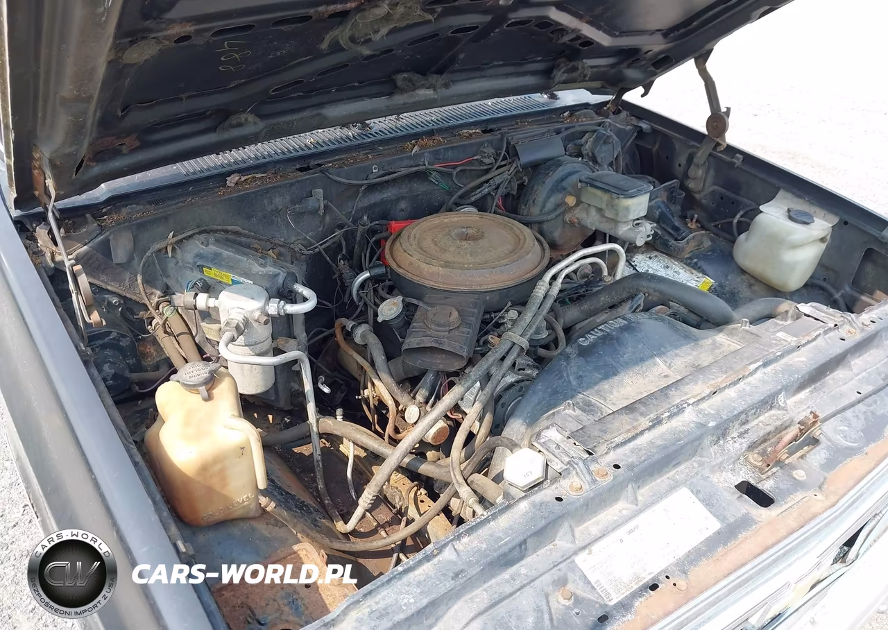 1985 Chevrolet C10 VIN:2GCEC14H7F1122810 - 10