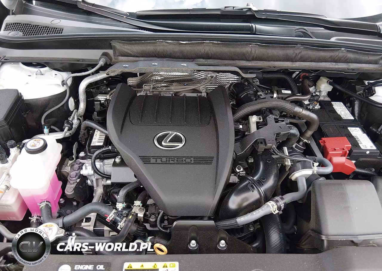 2025 Lexus Rx 350 Luxury VIN:2T2BAMCA9SC111474 - 10