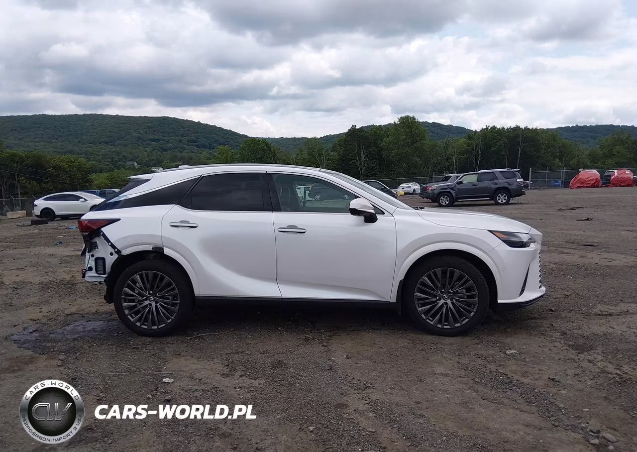 2025 Lexus Rx 350 Luxury VIN:2T2BAMCA9SC111474 - 14