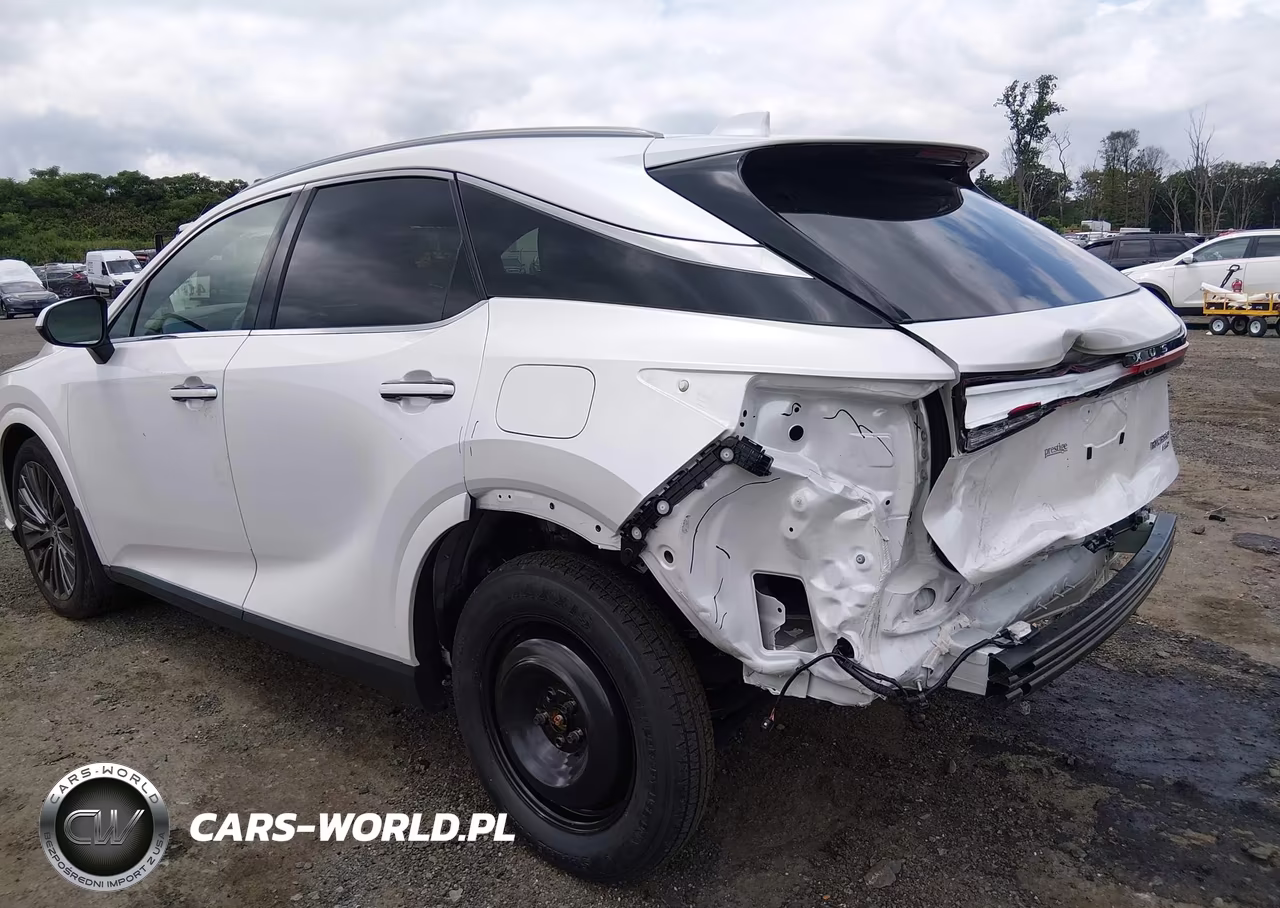 2025 Lexus Rx 350 Luxury VIN:2T2BAMCA9SC111474 - 20