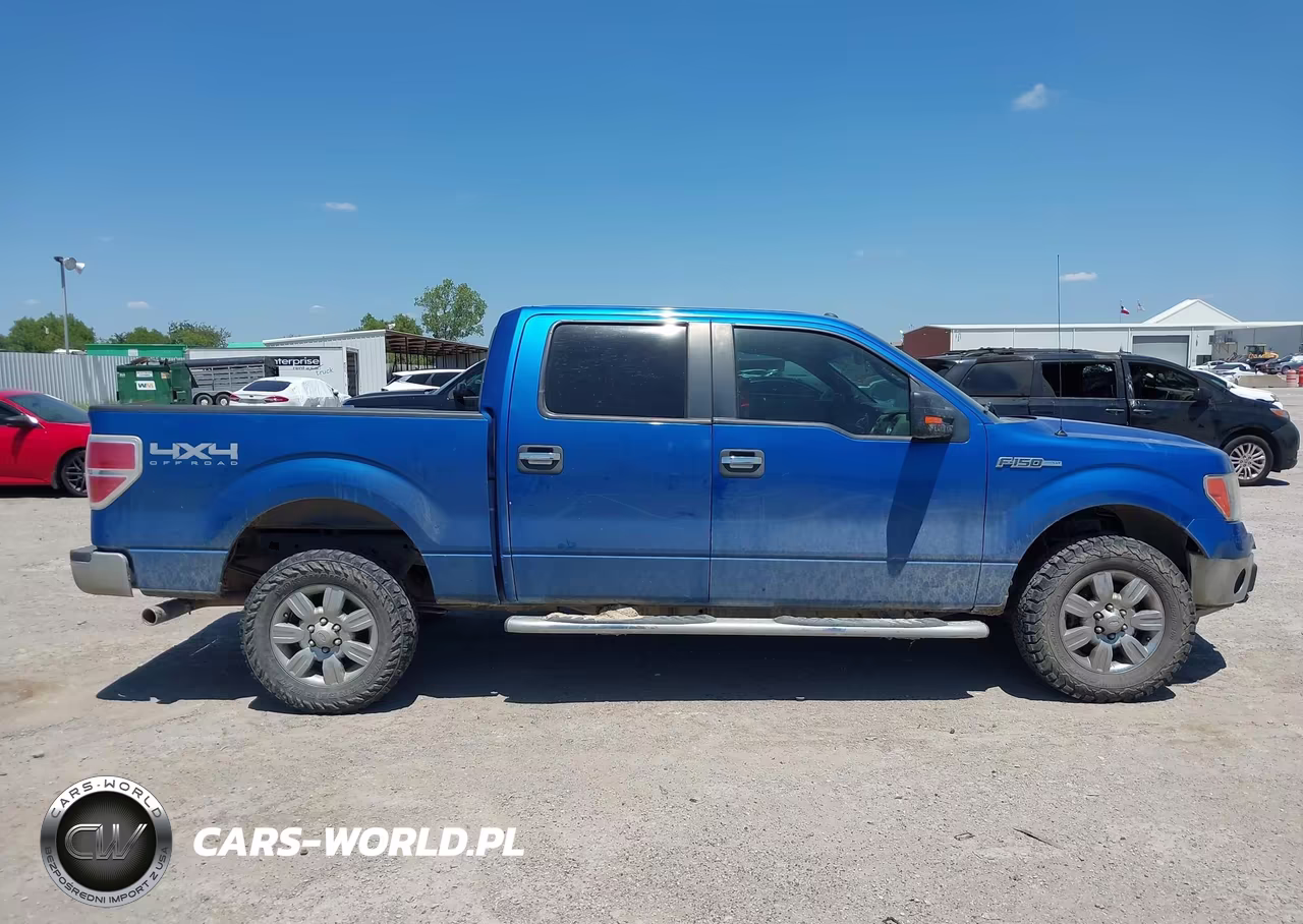 2012 Ford F-150 Xlt VIN:1FTFW1EF9CFC93846 - 13