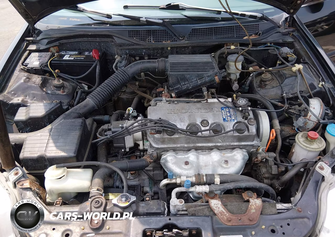 1999 Honda Civic Lx VIN:2HGEJ6677XH524117 - 10