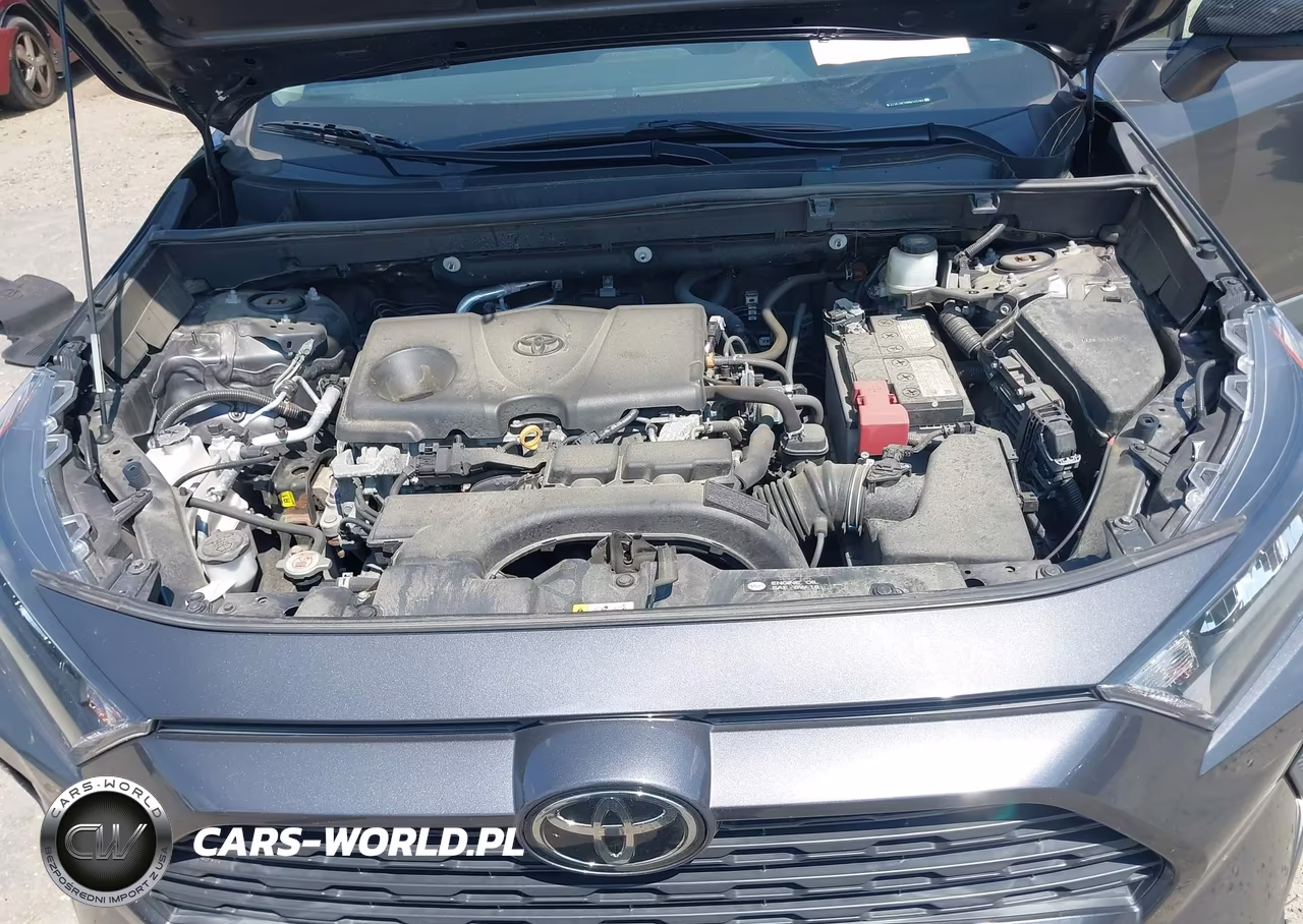 2021 Toyota Rav4 Le VIN:2T3F1RFV8MW145366 - 10