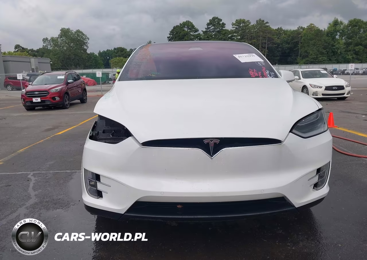 2018 Tesla Model X 100D-75D-P100D VIN:5YJXCDE20JF141306 - 13