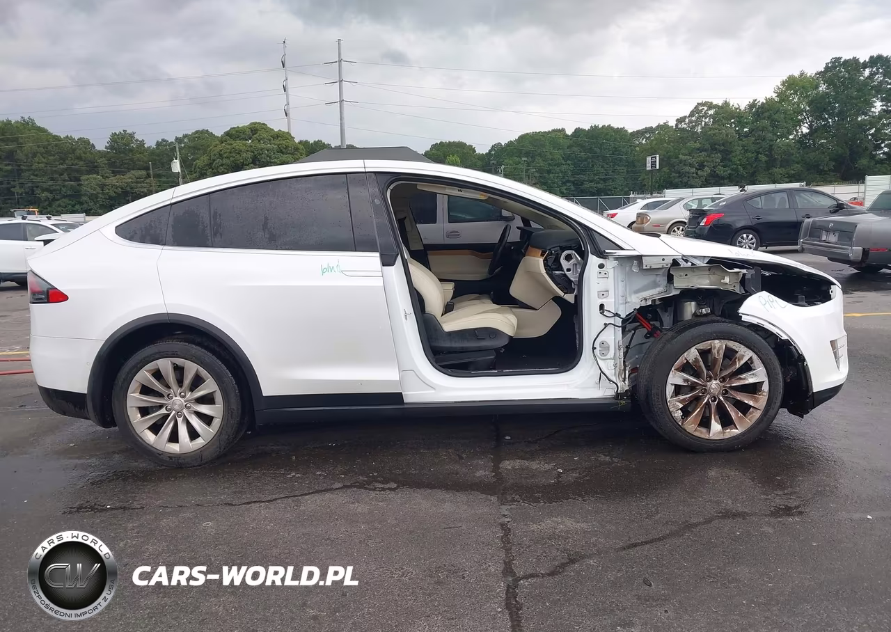 2018 Tesla Model X 100D-75D-P100D VIN:5YJXCDE20JF141306 - 14