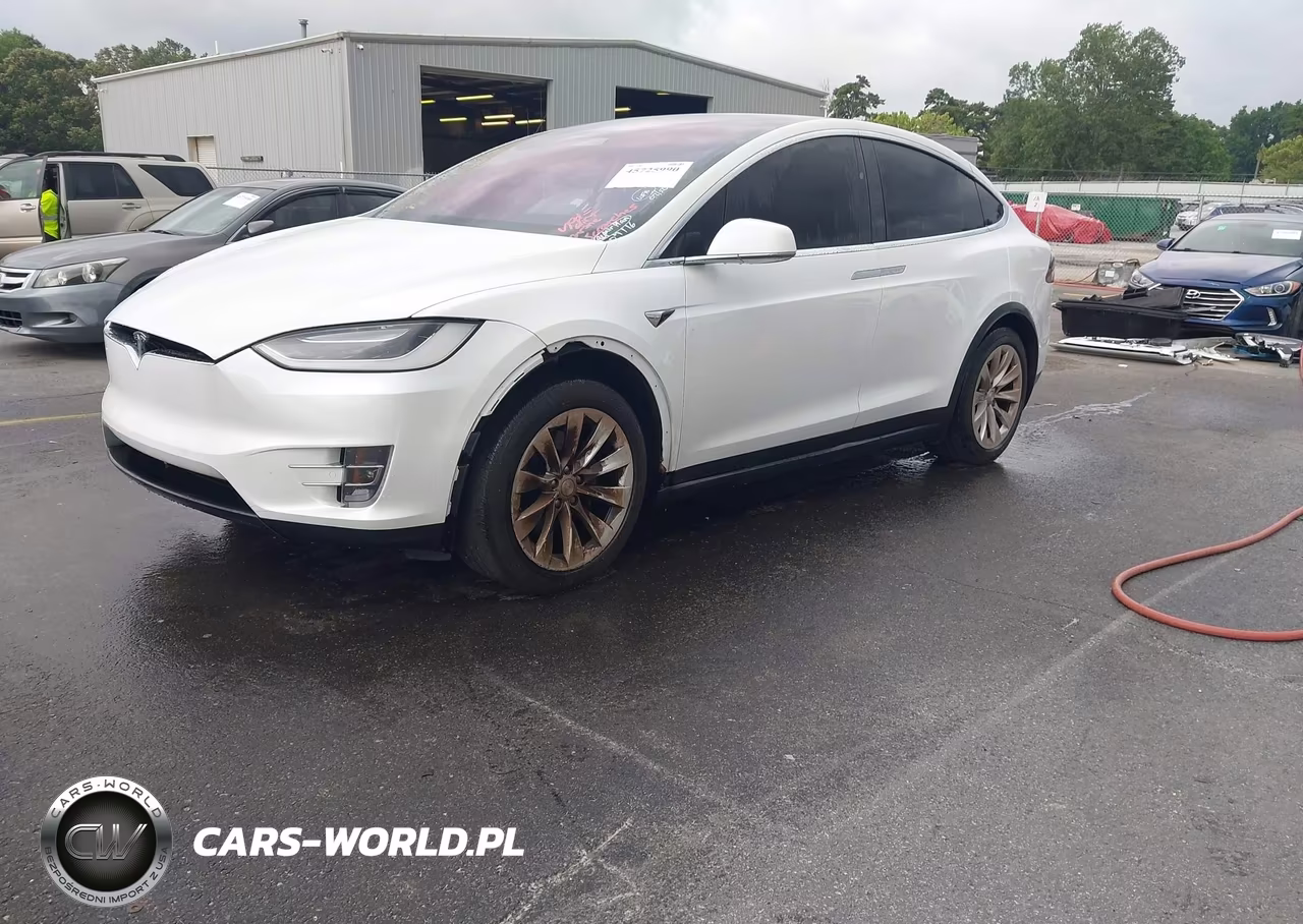 2018 Tesla Model X 100D-75D-P100D VIN:5YJXCDE20JF141306 - 2