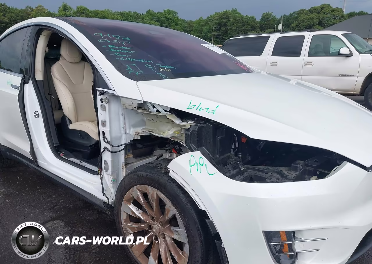 2018 Tesla Model X 100D-75D-P100D VIN:5YJXCDE20JF141306 - 6