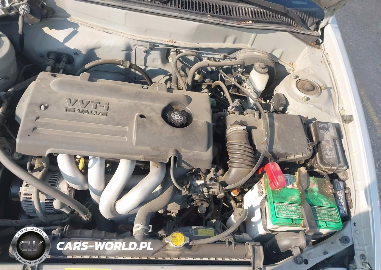 2001 Toyota Corolla Ce VIN:1NXBR12E21Z509722 - 10