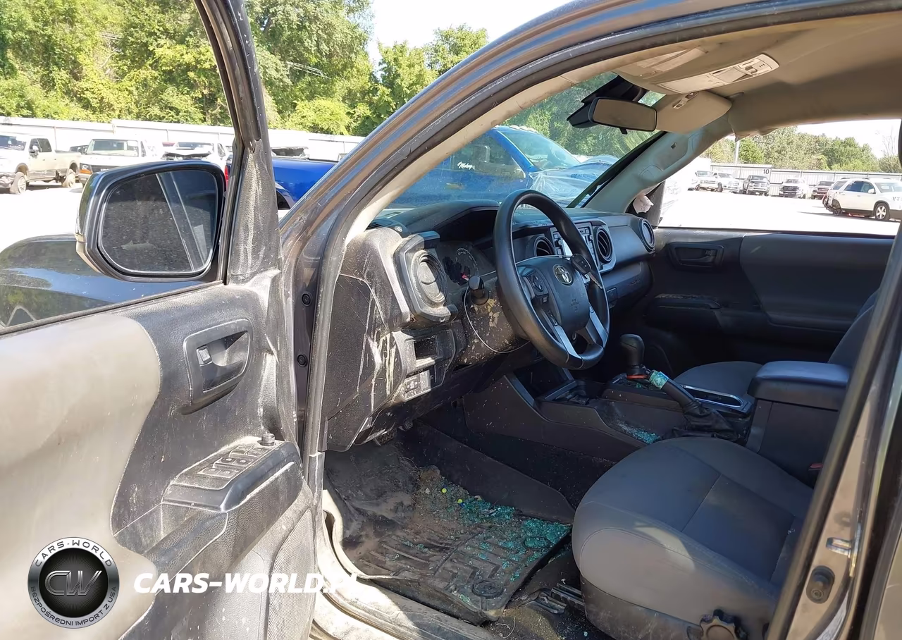 2019 Toyota Tacoma Sr V6 VIN:5TFCZ5AN2KX197872 - 5