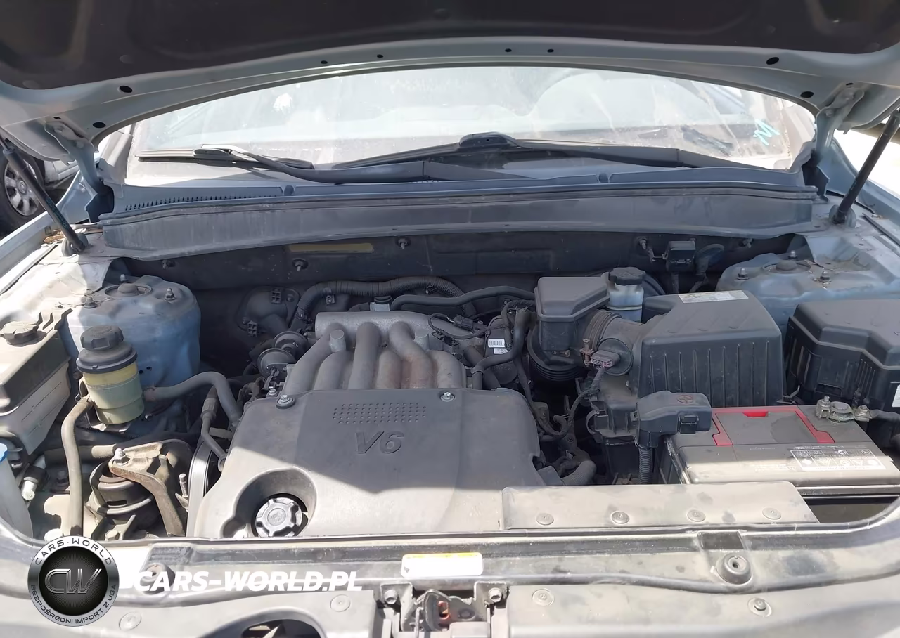 2009 Hyundai Santa Fe Gls VIN:5NMSG73D19H249934 - 10