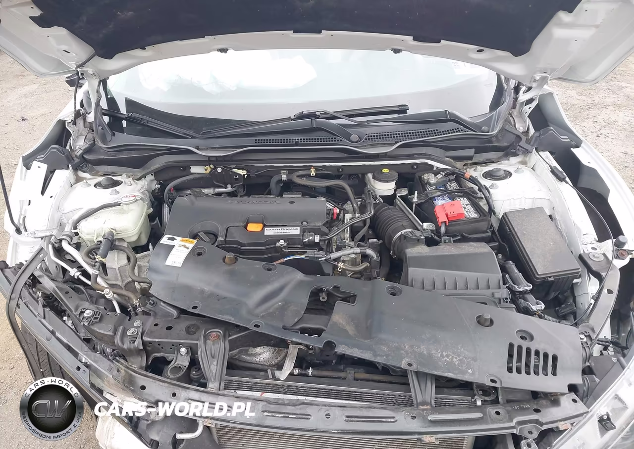 2019 Honda Civic Lx VIN:2HGFC2F63KH555825 - 10