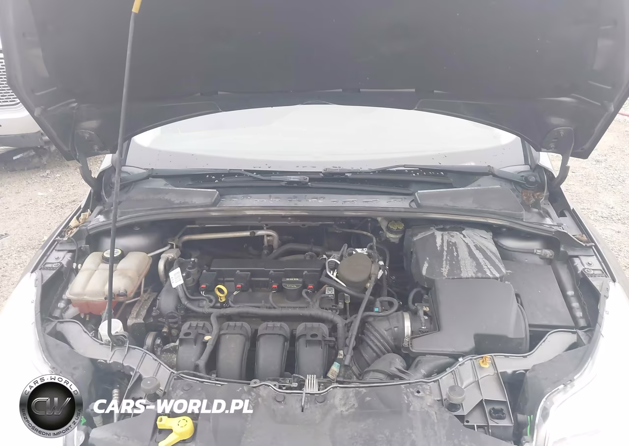 2013 Ford Focus Se VIN:1FADP3K25DL312712 - 10