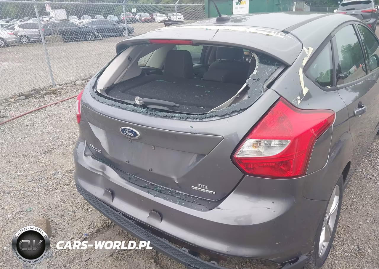 2013 Ford Focus Se VIN:1FADP3K25DL312712 - 12