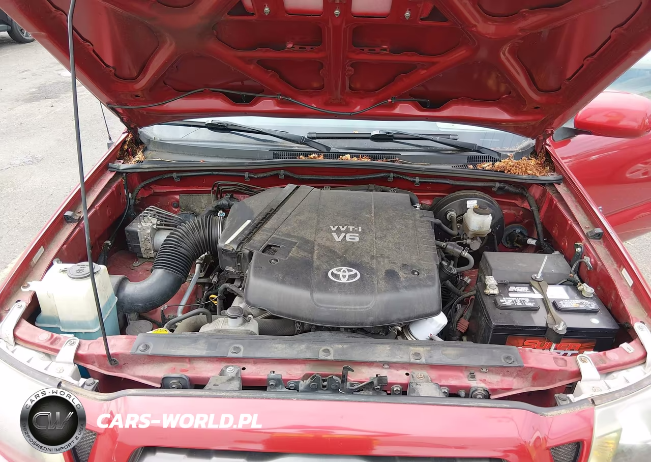 2009 Toyota Tacoma Base V6 VIN:3TMLU42N19M034377 - 10