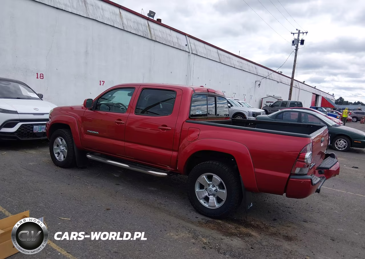 2009 Toyota Tacoma Base V6 VIN:3TMLU42N19M034377 - 3