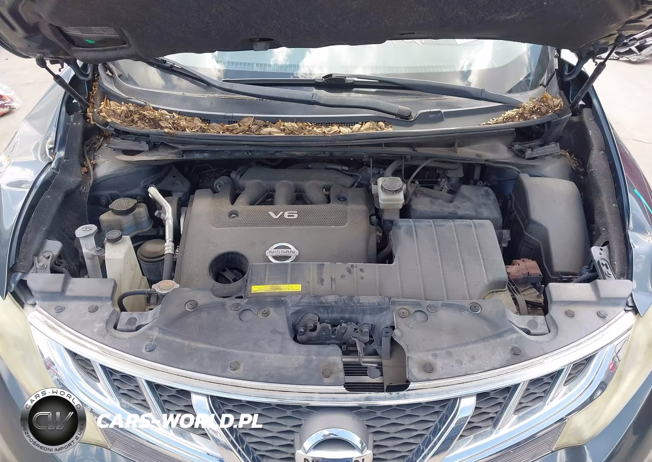 2014 Nissan Murano S VIN:JN8AZ1MU3EW413200 - 10