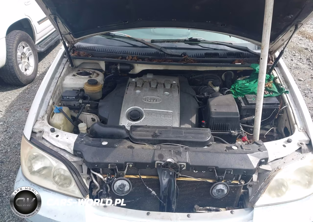 2005 Kia Sedona Ex-Lx VIN:KNDUP131856635642 - 10