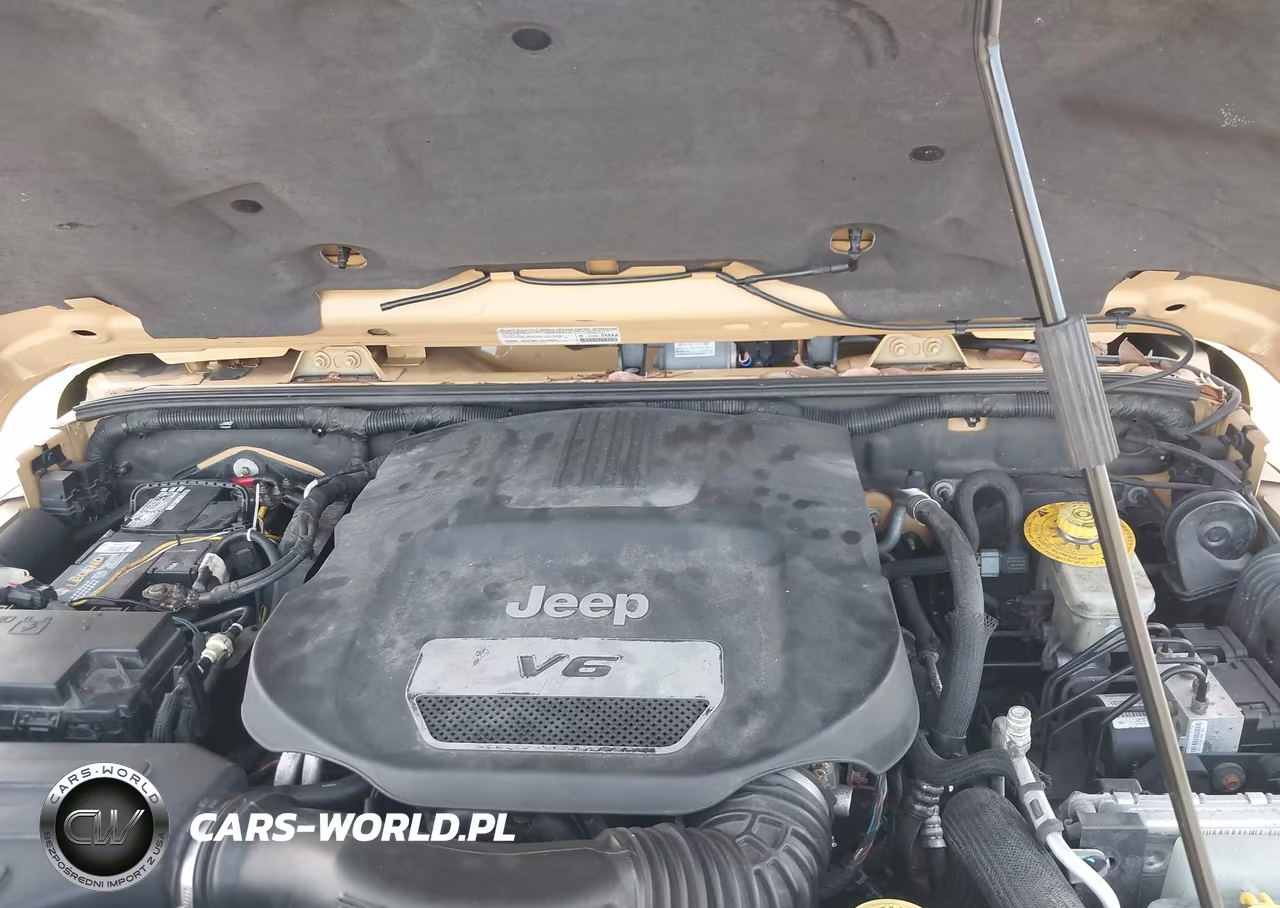 2014 Jeep Wrangler Unlimited Rubicon VIN:1C4HJWFGXEL112155 - 10