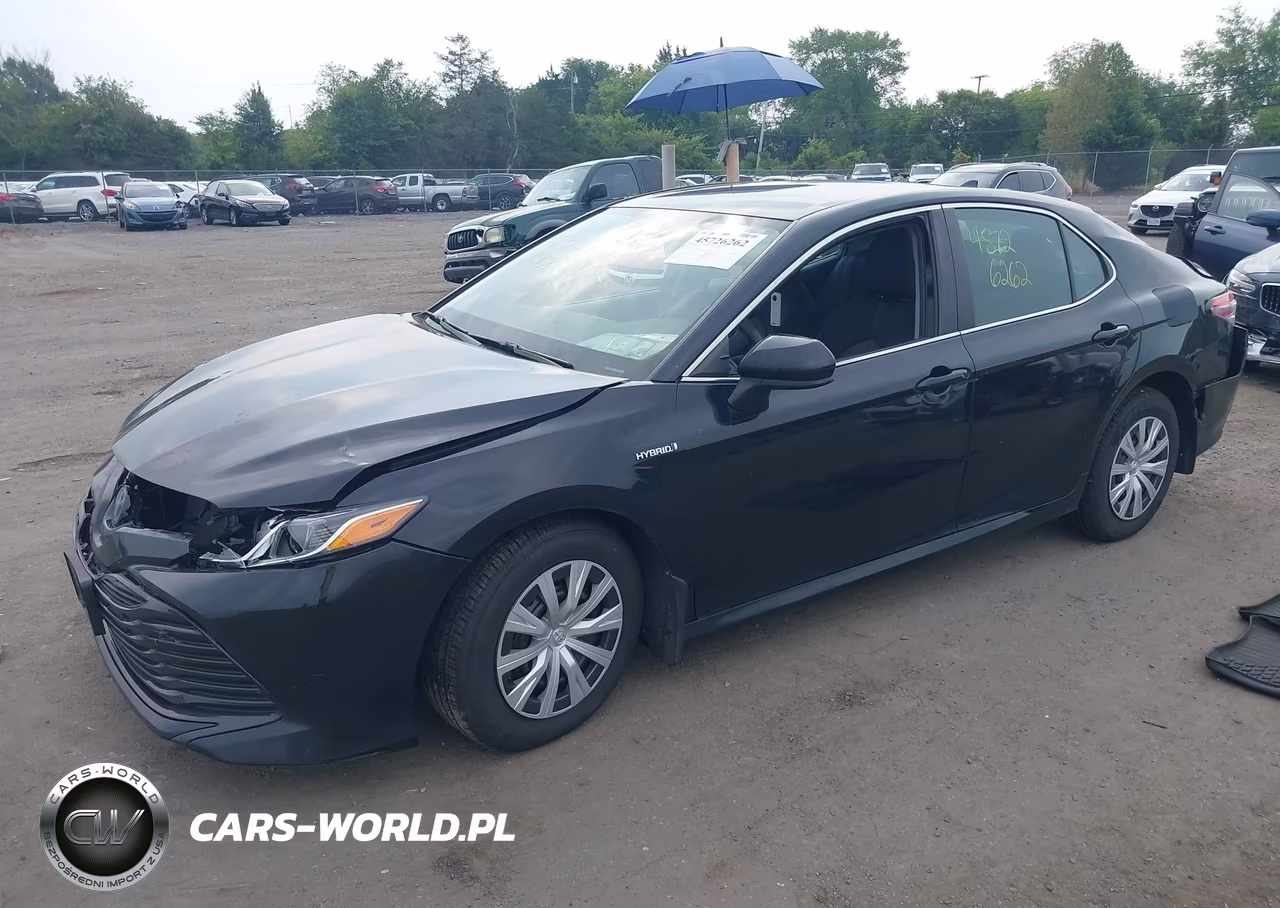 2020 Toyota Camry Le Hybrid VIN:4T1C31AK7LU019678 - 2