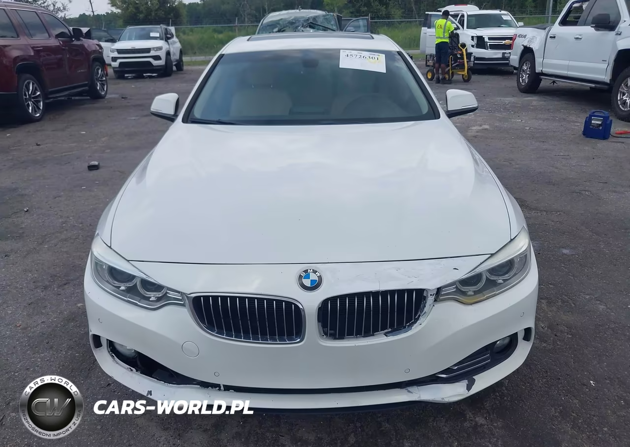 2015 BMW 428 Gran Coupe VIN:WBA4A9C59FD416170 - 12