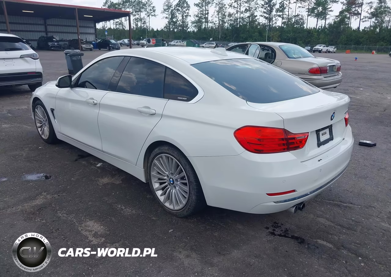 2015 BMW 428 Gran Coupe VIN:WBA4A9C59FD416170 - 3