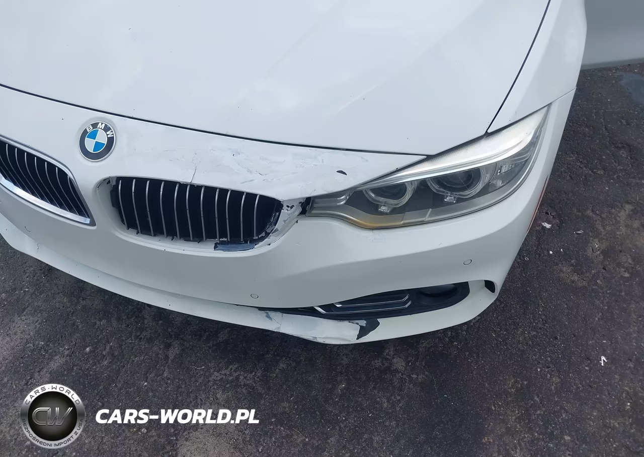 2015 BMW 428 Gran Coupe VIN:WBA4A9C59FD416170 - 6