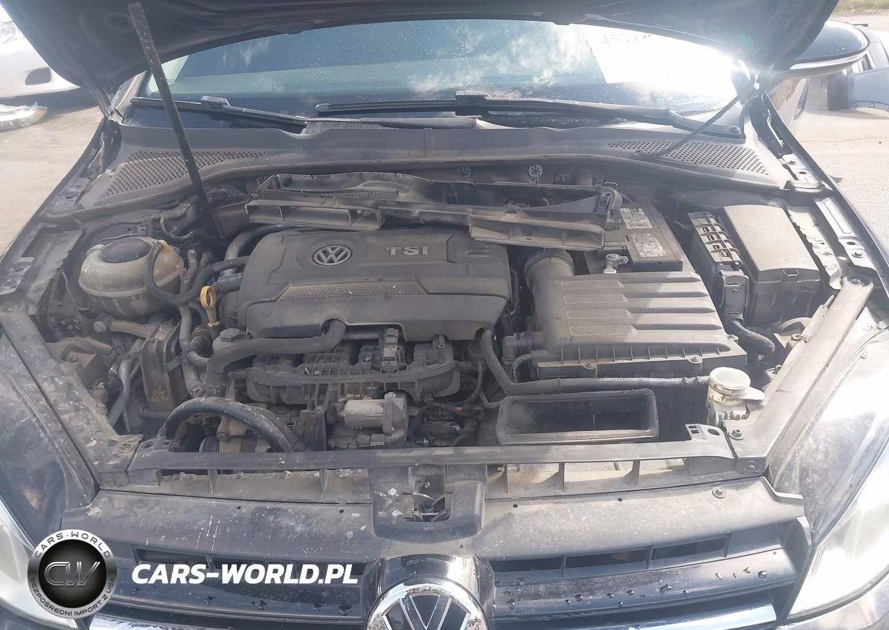 2017 Volkswagen Golf Sportwagen Tsi S VIN:3VWC17AU7HM501719 - 10
