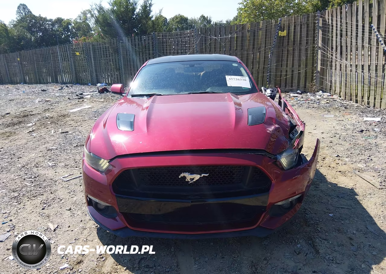 2016 Ford Mustang Gt Premium VIN:1FA6P8CF2G5243784 - 12