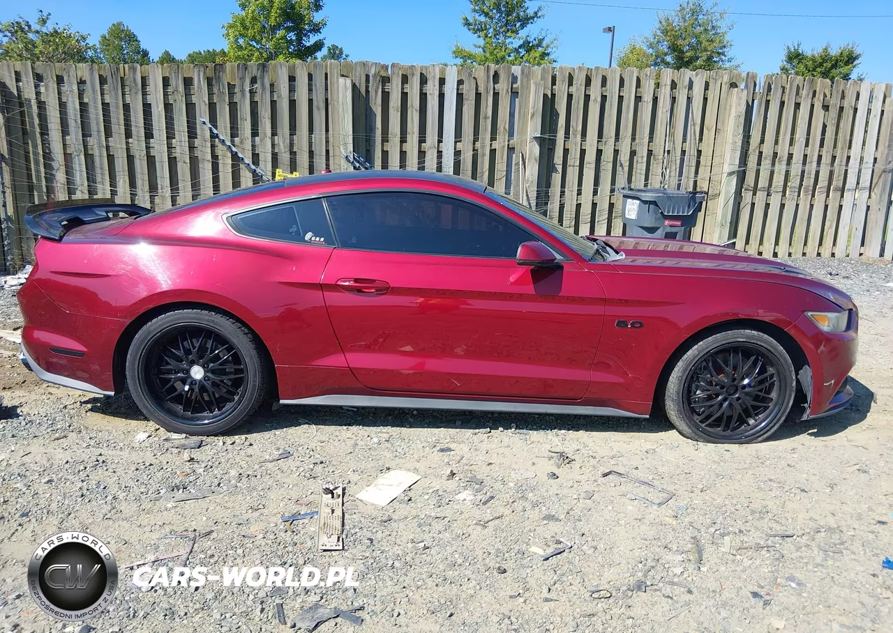 2016 Ford Mustang Gt Premium VIN:1FA6P8CF2G5243784 - 13