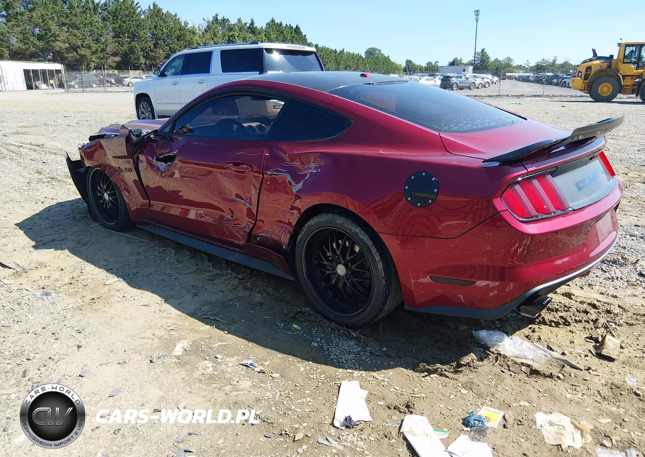 2016 Ford Mustang Gt Premium VIN:1FA6P8CF2G5243784 - 3