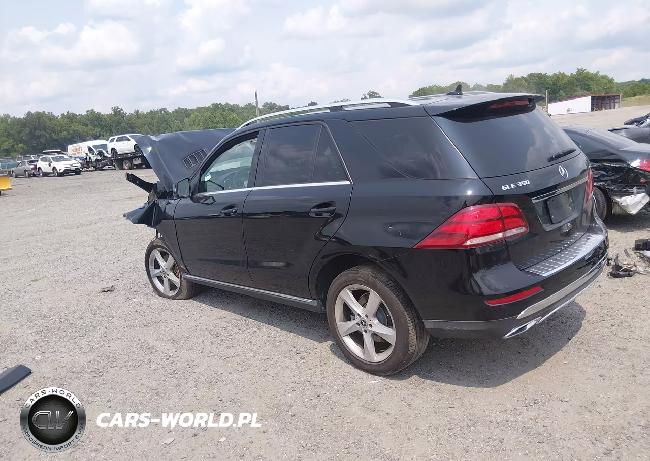 2017 Mercedes-Benz Gle 350 VIN:4JGDA5JB8HA994555 - 3