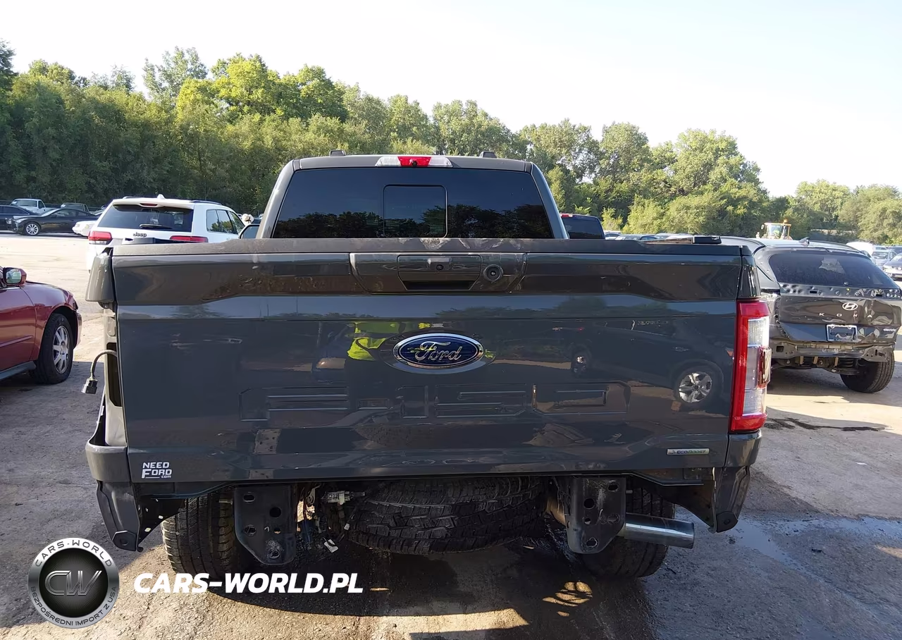 2021 Ford F-150 Lariat VIN:1FTFX1E89MKD62428 - 17