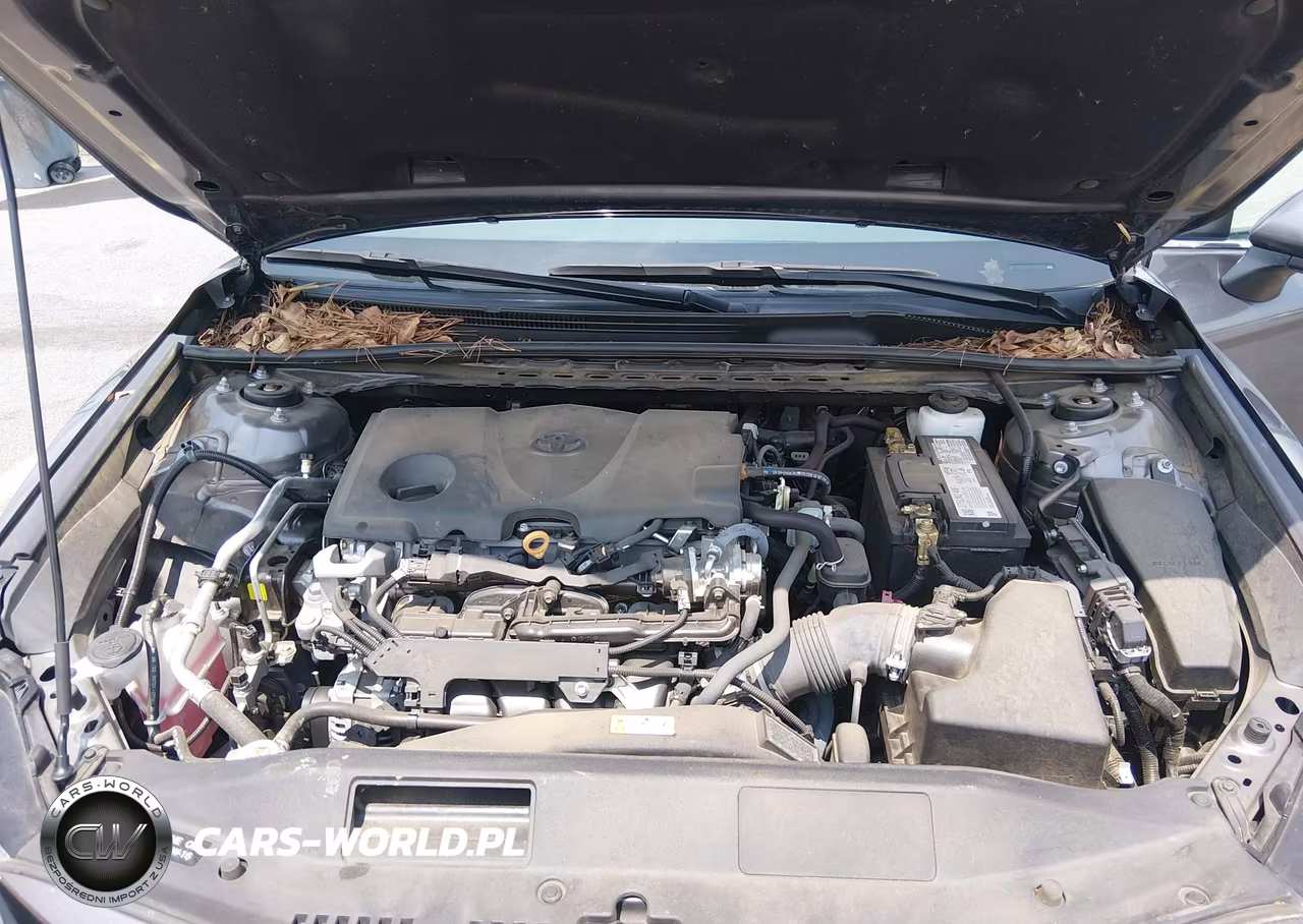 2023 Toyota Camry Le VIN:4T1C11AKXPU796982 - 10