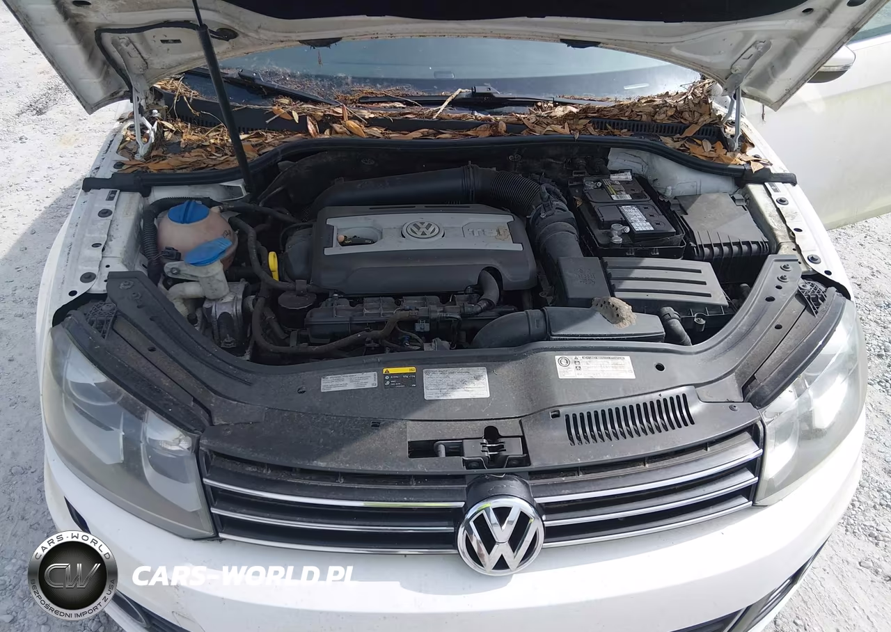 2014 Volkswagen Eos Executive VIN:WVWFW8AH8EV006134 - 10