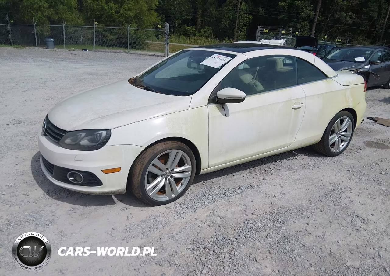 2014 Volkswagen Eos Executive VIN:WVWFW8AH8EV006134 - 2