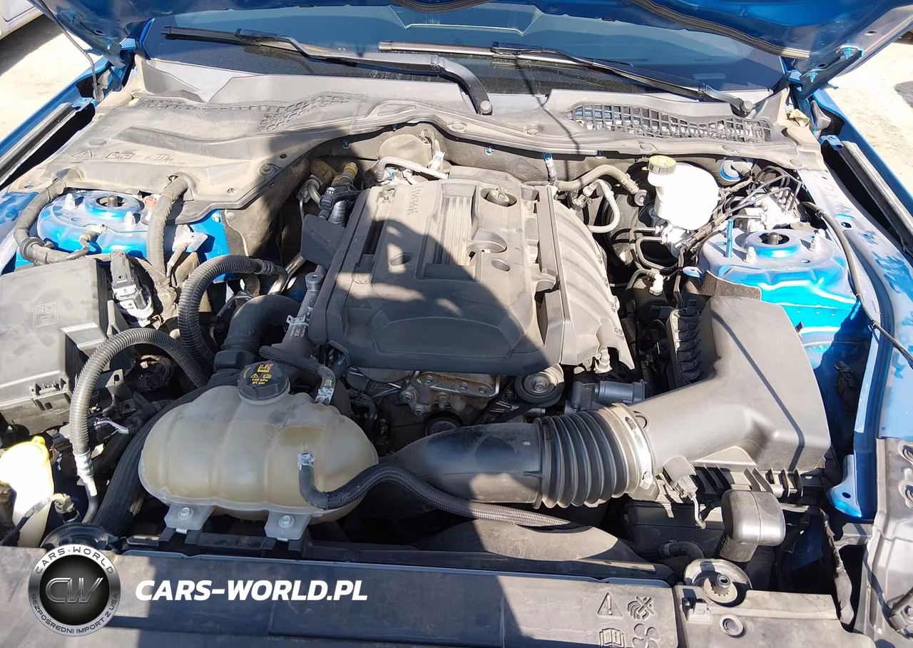2019 Ford Mustang Ecoboost Premium VIN:1FA6P8TH4K5168791 - 10