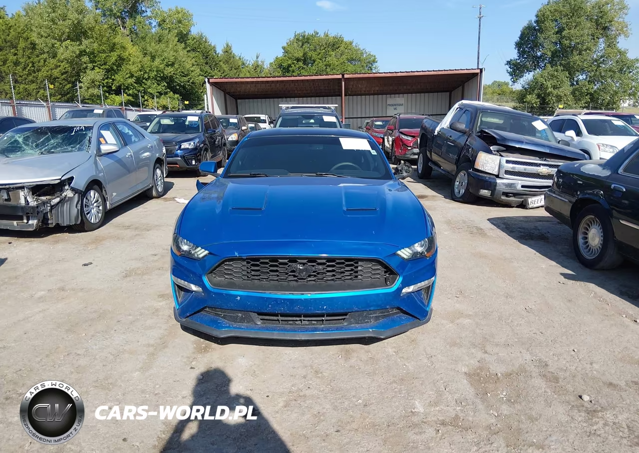 2019 Ford Mustang Ecoboost Premium VIN:1FA6P8TH4K5168791 - 13