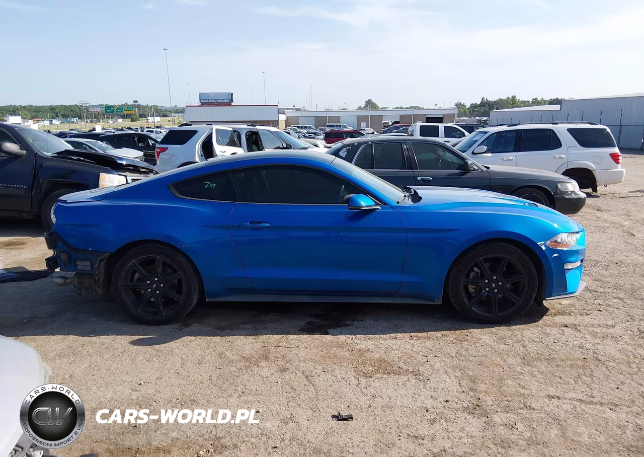 2019 Ford Mustang Ecoboost Premium VIN:1FA6P8TH4K5168791 - 14
