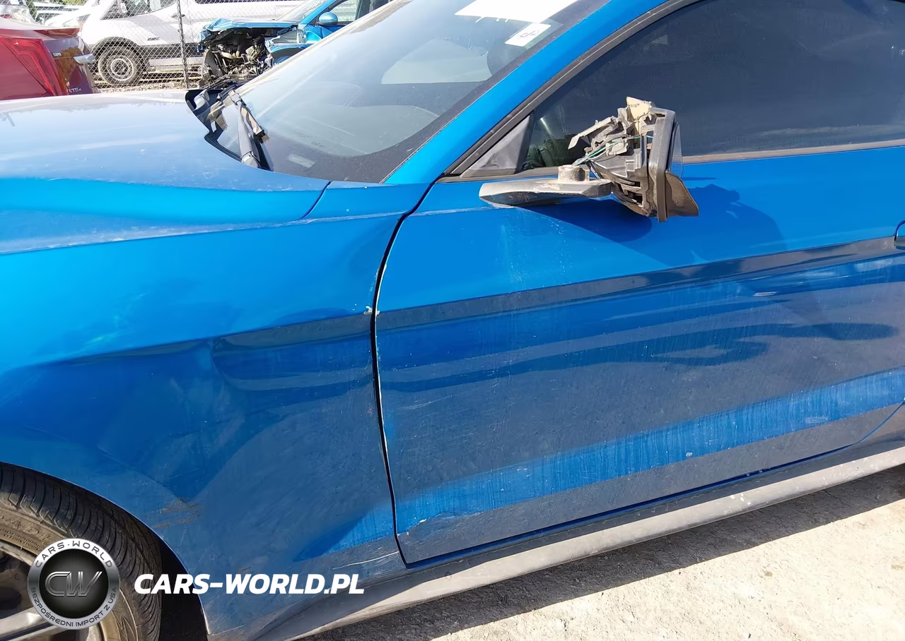 2019 Ford Mustang Ecoboost Premium VIN:1FA6P8TH4K5168791 - 18