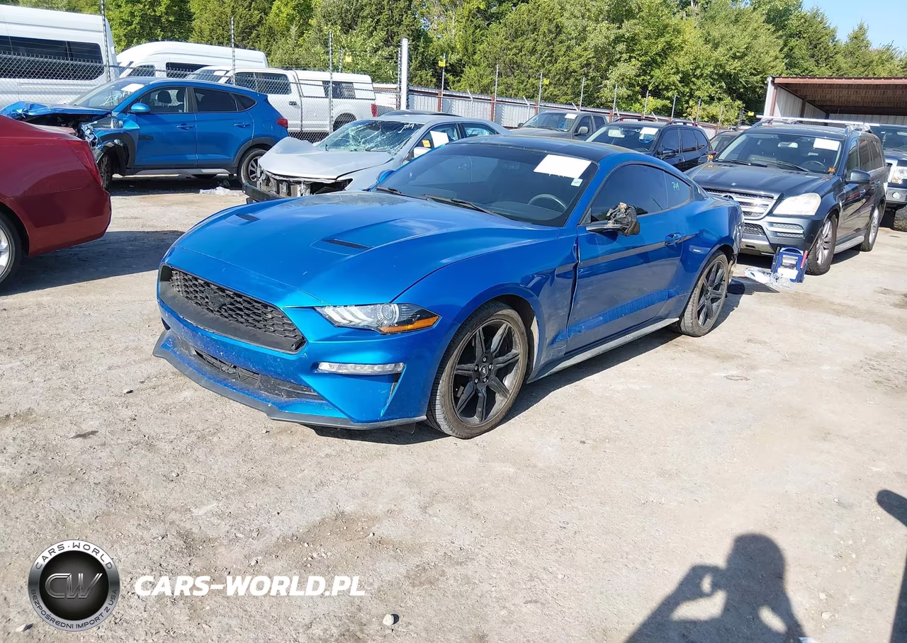2019 Ford Mustang Ecoboost Premium VIN:1FA6P8TH4K5168791 - 2